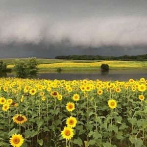 Meet your Posher, Tabitha